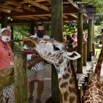 Brevard Zoo - undefined - Zoos Near Me - Melbourne, Florida Brevard Zoo - undefined - Zoos Near Me - Melbourne, Florida
