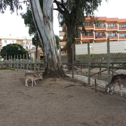 Parque de Prudencio Navarro - Ciervos