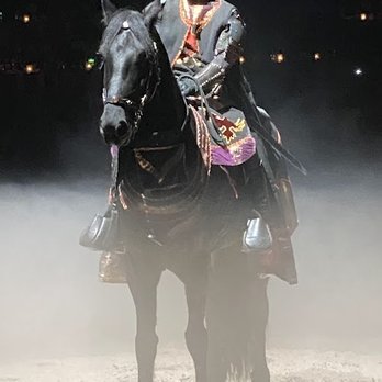 Medieval Times Dinner & Tournament - Knight - Dinner Theater Near Me - Dallas, Texas