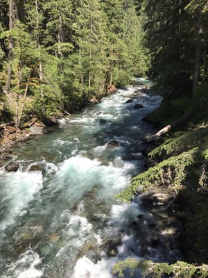 Ohanapecosh Campground by null