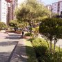 Photo of Praça do Califórnia