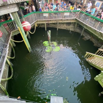 Fudpucker's - The gator pond - Seafood Near Me - Destin, Florida