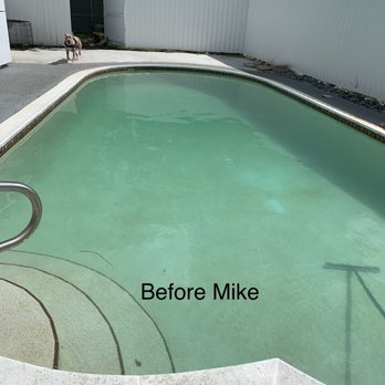 Aqua King Pool Services - The Tuesday before Mike's tech came - Pool Cleaners Near Me - Fort Lauderdale, Florida Aqua King Pool Services - The Tuesday before Mike's tech came - Pool Cleaners Near Me - Fort Lauderdale, Florida
