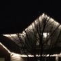 Photo of The Light Before Christmas