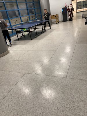 Chelsea Pool by null