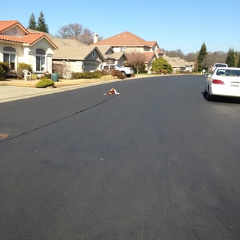 Wag Time Dog Training - Little colt - Pet Training Near Me - Antelope, California Wag Time Dog Training - Little colt - Pet Training Near Me - Antelope, California