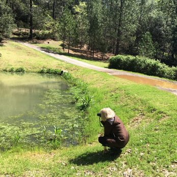 Carol Willis - Remax Gold - Catching a great shot at one of Carol's listings...2017. - Real Estate Agents Near Me - Grass Valley, California