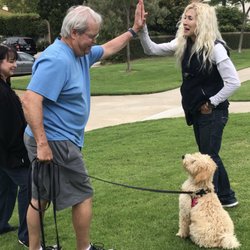 LA School for Dogs - Puppy training classes