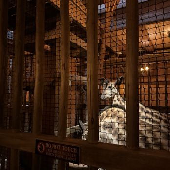 Ark Encounter - Museums Near Me - Williamstown, Kentucky