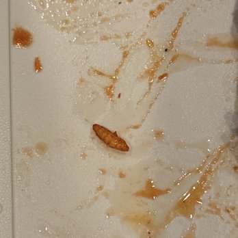 New City - maggot on my food - Chinese Near Me - Brooklyn, New York New City - maggot on my food - Chinese Near Me - Brooklyn, New York