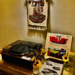 Jacumba Hot Springs Hotel - In room turntable