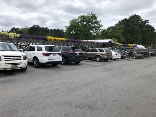 PINECONE HOME AND GARDEN CENTER - 4136 Dr M L King Jr Blvd, New Bern