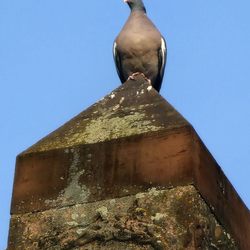 Neuer Brunnen