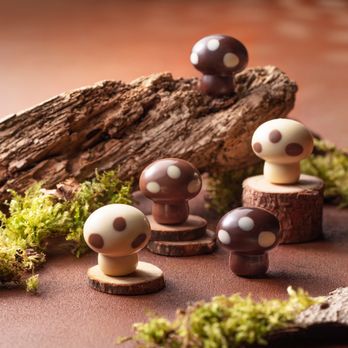 Leonidas - Mushrooms - Chocolatiers & Shops Near Me - Montreal, Quebec