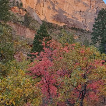 Boynton Canyon Trail - Hiking Near Me - Sedona, Arizona Boynton Canyon Trail - Hiking Near Me - Sedona, Arizona