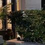 Versailles Koreatown Apartments