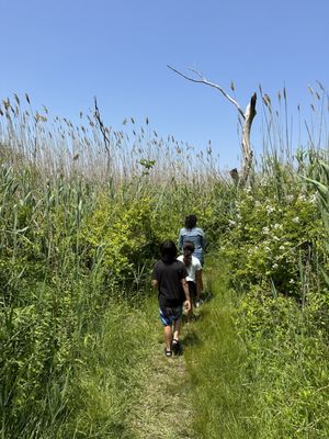 Jamaica Bay Wildlife Refuge by null