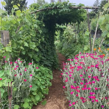 Wild Flour Bread - Garden - Bakeries Near Me - Freestone, California Wild Flour Bread - Garden - Bakeries Near Me - Freestone, California
