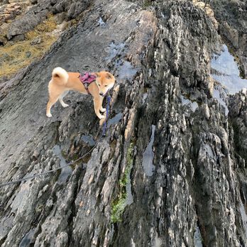 Sagadahoc Bay Campground - Joni playing at the beach - Campgrounds Near Me - Georgetown, Maine