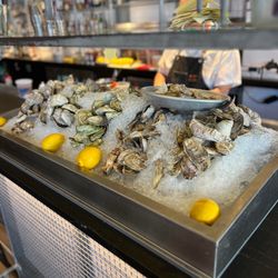Row 34 - Oysters