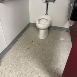 poop on girls bathroom floor poop on girls bathroom floor