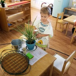 Littleton Montessori School