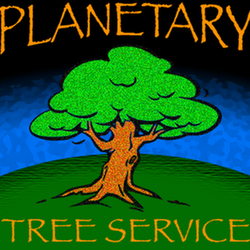 Planetary Tree Service - untitled