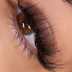 Wendybird Beauty - Wispy lush volume lashes.