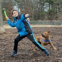 Needham Dog Park