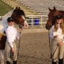Photo of L C Equestrian