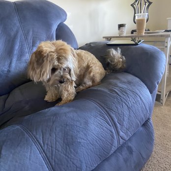 Barks Bed And Biscuit - Pet Groomers Near Me - Denville, New Jersey