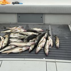 Cast-A-Way Fishing Charters