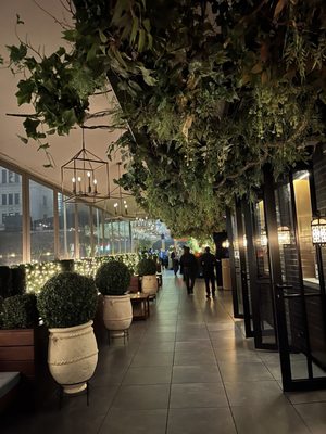 Elsie Rooftop by null