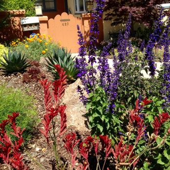 Vision Garden Design - Vibrant Flowers and Succulent Combination - Landscape Architects or Designers Near Me Vision Garden Design - Vibrant Flowers and Succulent Combination - Landscape Architects or Designers Near Me