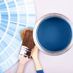Di Leo Design & Staging - Interior Paint Color Consultant Specializing in Interior Paint Application Tampa FL. Certified Psychological Color Expert