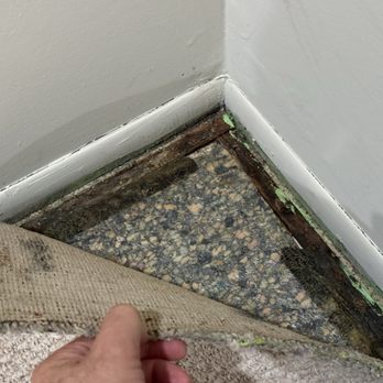 Indoor Green Solutions - Notice dampness on drywall which was supposed to have been replaced. Green stuff confirmed by sample from inspector to be pos for mold. - Damage Restoration Near Me - Gaithersburg, Maryland Indoor Green Solutions - Notice dampness on drywall which was supposed to have been replaced. Green stuff confirmed by sample from inspector to be pos for mold. - Damage Restoration Near Me - Gaithersburg, Maryland