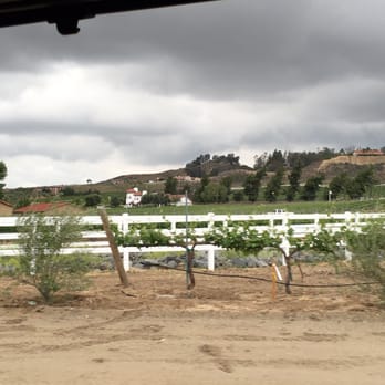 Robert Renzoni Vineyards - Wineries Near Me - Temecula, California