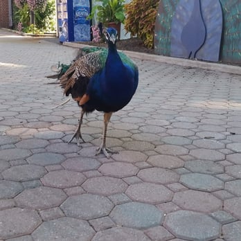 Staten Island Zoo - Zoos Near Me - Staten Island, New York