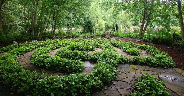 Earth Sanctuary by null