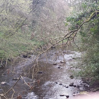 Colinton Dell - Parks Near Me - Edinburgh, EDH