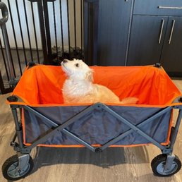 Portal Wagon. My dog thinks it rides like a dream. Portal Wagon. My dog thinks it rides like a dream.