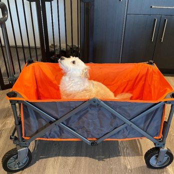 Westfield Outdoors - Portal Wagon. My dog thinks it rides like a dream. - Outdoor Gear Near Me - Indianapolis, Indiana Westfield Outdoors - Portal Wagon. My dog thinks it rides like a dream. - Outdoor Gear Near Me - Indianapolis, Indiana