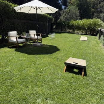 Olive + Lavender Farms - Patio - Attraction Farms Near Me - Los Olivos, California Olive + Lavender Farms - Patio - Attraction Farms Near Me - Los Olivos, California
