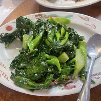 Ocean Chinese Seafood Restaurant - Chinese Near Me - Arlington, Texas Ocean Chinese Seafood Restaurant - Chinese Near Me - Arlington, Texas