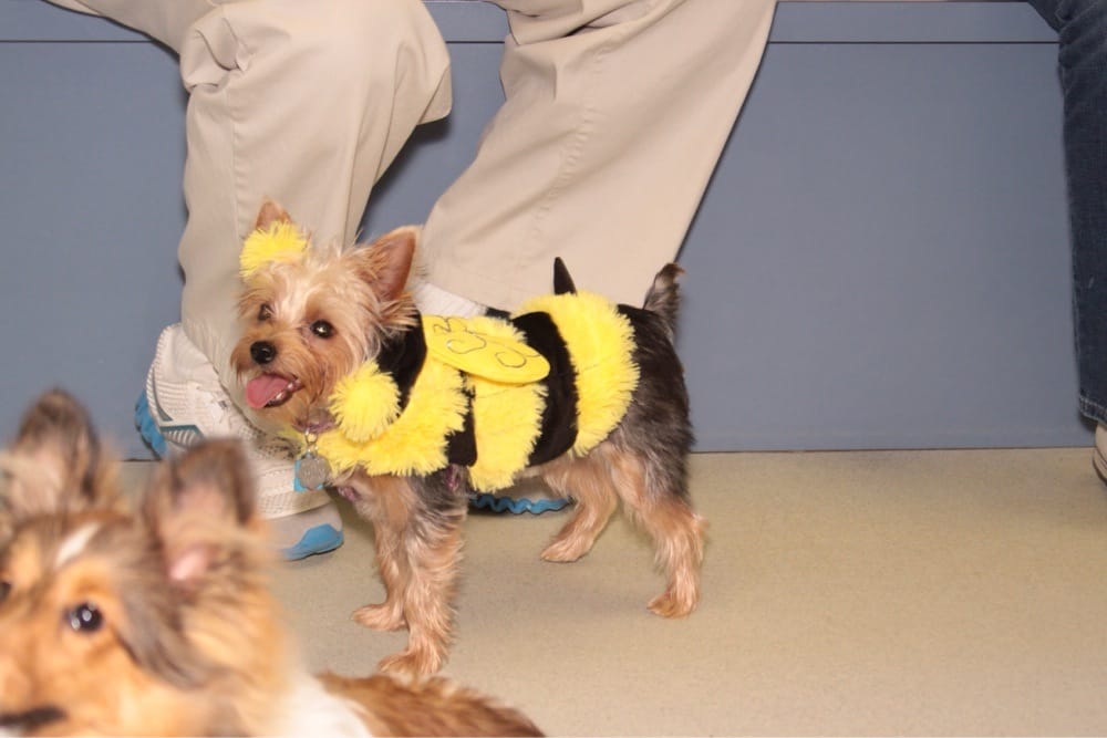 SOUTHWICK VETERINARY HOSPITAL Updated August 2024 12 Photos & 19