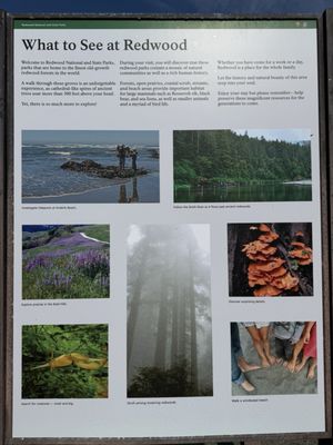 Thomas H. Kuchel Visitor Center by null