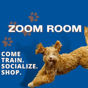 Zoom Room - Pet Training Near Me - Clifton Park, New York Zoom Room - Pet Training Near Me - Clifton Park, New York
