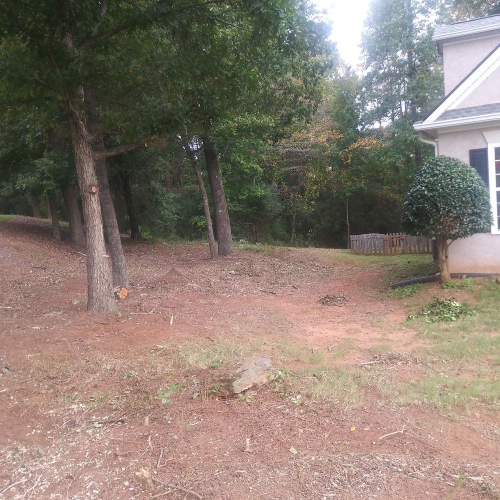 Barkers 360 Services - Tree Services Near Me - Jonesboro, Georgia Barkers 360 Services - Tree Services Near Me - Jonesboro, Georgia