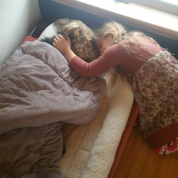 Lakeshore Animal Hospital - Lil bit taking care of her puppy while he rests - Veterinarians Near Me - Waterloo, New York Lakeshore Animal Hospital - Lil bit taking care of her puppy while he rests - Veterinarians Near Me - Waterloo, New York
