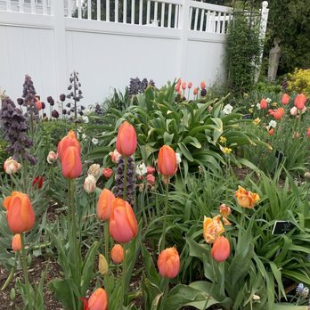 Frelinghuysen Arboretum - Botanical Gardens Near Me - Morristown, New Jersey